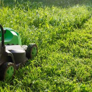 prix-tonte-pelouse-jardin